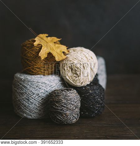 Cozy Skeins Of Yarn For Hand Knitting With Dry Oak Leaf On A Dark Background. Autumn Background For 
