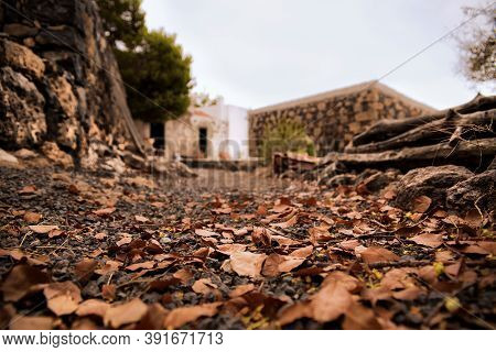 Leaves On The Ground Of A House In The Middle Of The Field