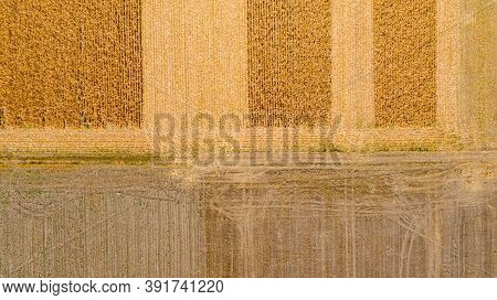 Above Top View On Country, Dirty Road That Is Going Between Agricultural Fields, Rural Path, Season 