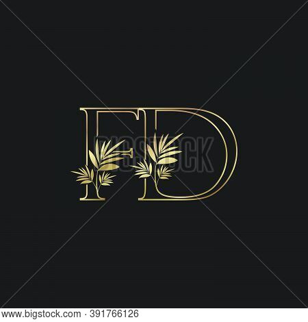 Classic Vintage Nature Outline Initial Letter F, D, Fd Logo Icon. Vector Logo Design Concept Classic