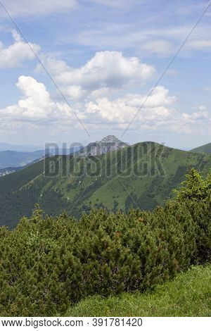 Slovak Mountain Little Fatra, Mala Fatra, In The Summer, Slovakia
