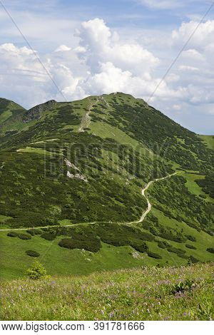 Slovak Mountain Little Fatra, Mala Fatra, In The Summer, Slovakia