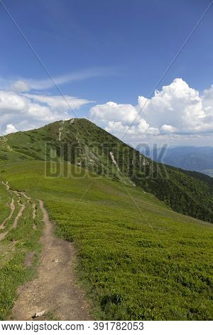Slovak Mountain Little Fatra, Mala Fatra, In The Summer, Slovakia