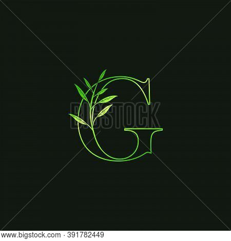 Green Nature  G Letter Logo Icon, Outline  Initial Vintage Design Concept Abstract Nature Leaves Wit