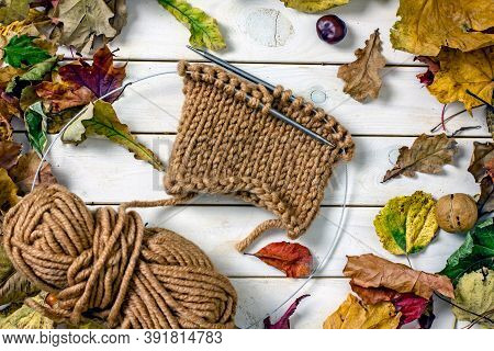 Knitting Autumn Composition Flat Lay. Skeins Of Brown Wool, Knitting Needles, A Knitted Scarf, Falle