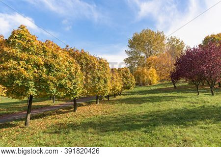Beautiful Colors Of Autumn In The Park At Sunset
