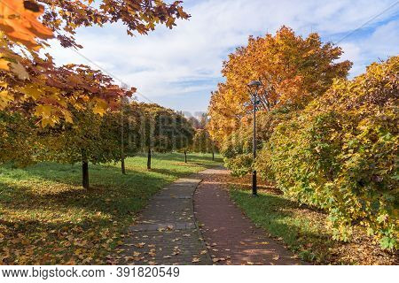Beautiful Colors Of Autumn In The Park At Sunset