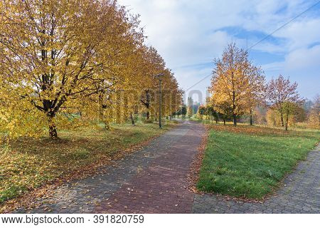 Beautiful Colors Of Autumn In The Park At Sunset