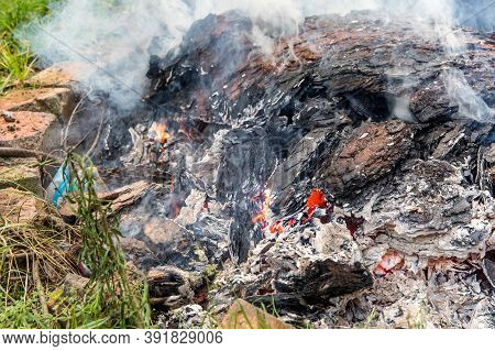 Burning Tree Bark. Outdoor Fireplace. Disposal Of Bark Beetles. Work On The Farm. Burning Fire.
