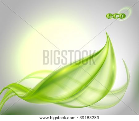 녹색 잎으로 추상적인 배경