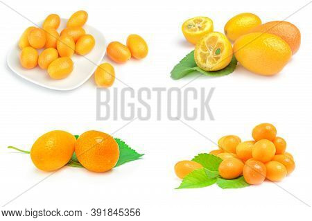 Set Of Cumquats Isolated On A White Background Cutout