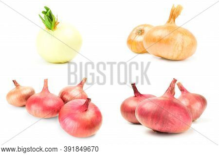 Set Of Ripe Onion Over A White Background