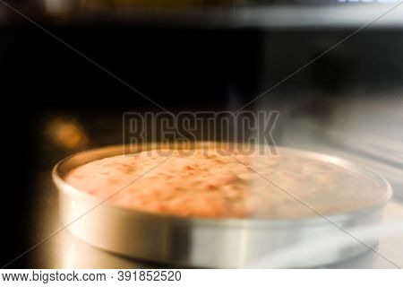 Cake Baked In Oven.