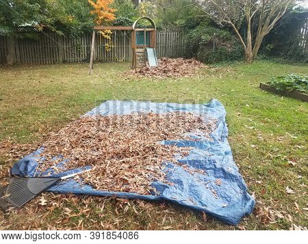 Leaves And Blue Tarp And Play Structure In Yard
