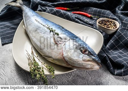 One Piece Of Japanese Amberjack. Raw Fish Yellowtail. Gray Background. Top View