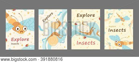 Explore Insects Posters Set. Dragonfly, Cameo Shell, Caterpillar, Ladybird Vector Illustrations With