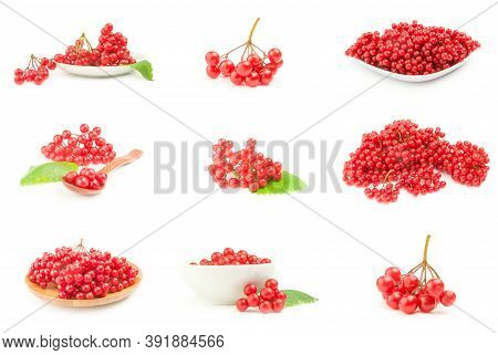 Collection Of Pimbina Berries Close-up Isolated On White Background