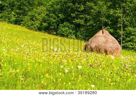 木と緑の草の干し草の山の美しい山の風景