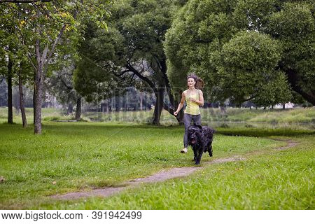Briard And Woman Run On Open Air In Park.