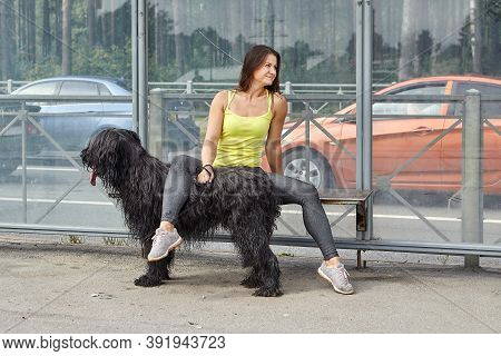 Young Woman With Briard Waits On Bus Stop.