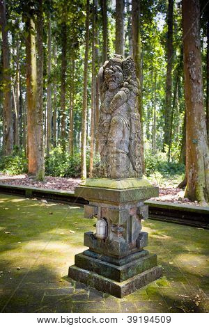ลิงป่าในบาหลี (Sangeh)