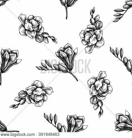 Seamless Pattern With Black And White Freesia Stock Illustration