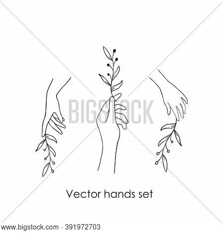 Logos Of Womens Hands In A Minimal Linear Style. Vector Emblems With Hand Gestures Holding A Rose, G