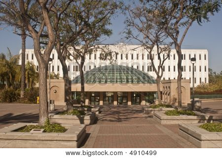 在圣地亚哥州立大学图书馆