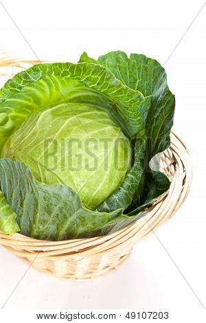 Cabbage