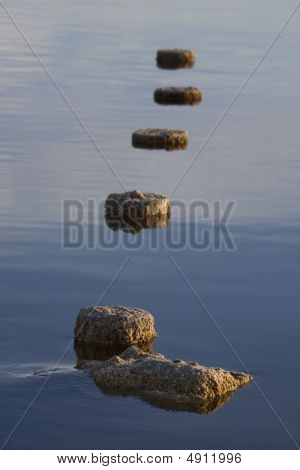 ทะเล Salton ตอ