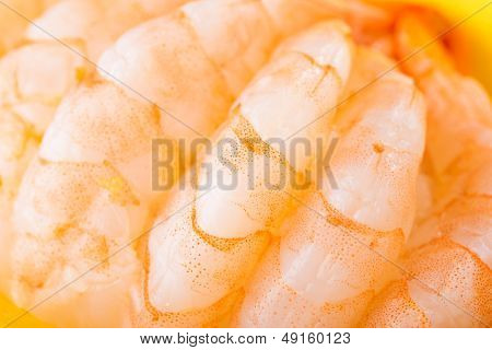 Sashimi-Garnelen