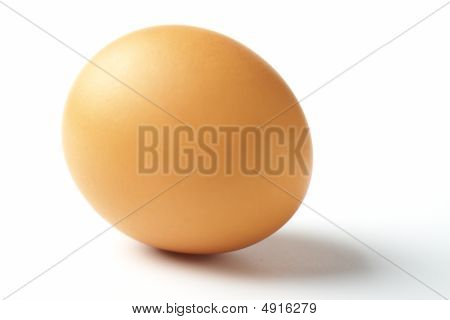 single safe egg