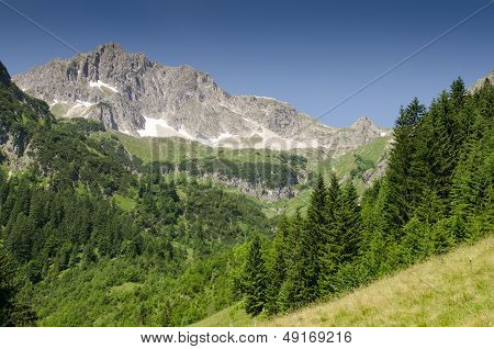 Mountain With Rocks And Firs