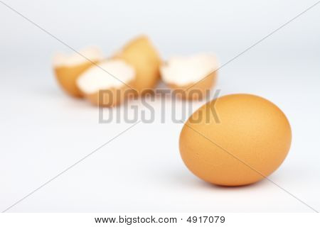 eggs