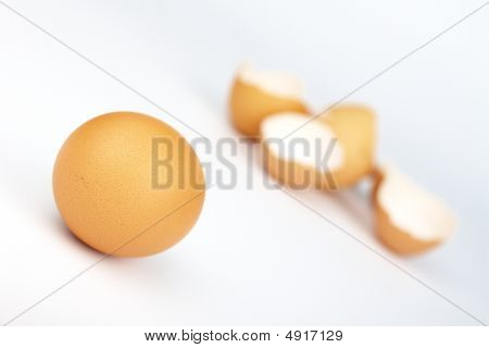 eggs