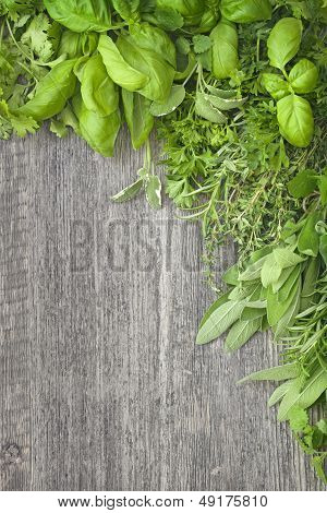Fresh Herbs Over Grey Wooden