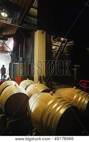 Beczek w winnicy Yarra Valley VictoriaAustalia
