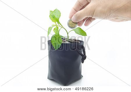 Investing To Green Business .