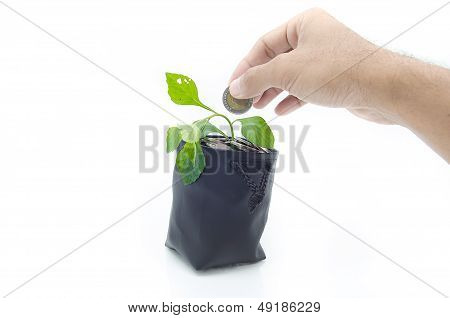 Investing To Green Business .