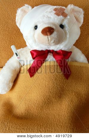 Teddy malato