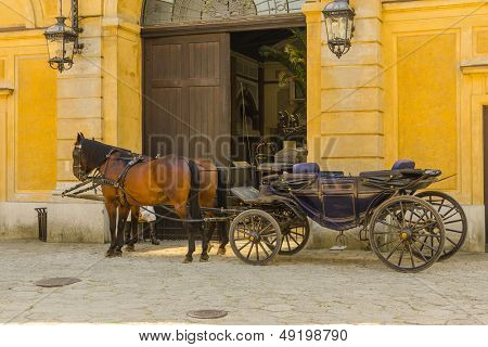 Horse drawn carriage in attesa di turisti nel castello di Lancut, Polonia