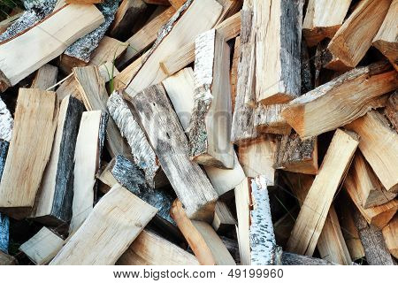 Firewood Of Various Breeds Of Trees.