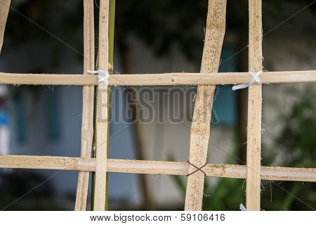 Bamboo Fence