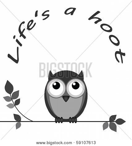 Hoot