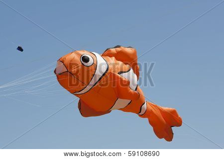 Orange And White Nemo Clownfish Kite Close Up
