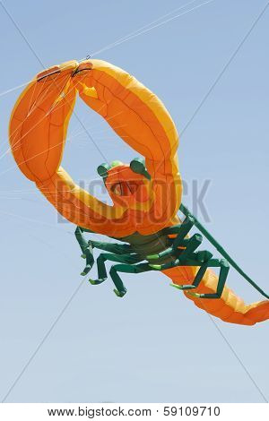 Orange And Green Lobster Kite Close Up