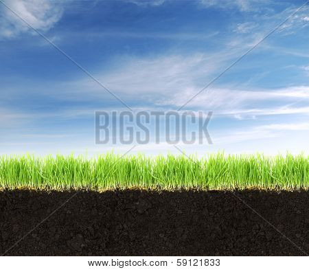 Cross-section of land with soil,grass and blue sky.