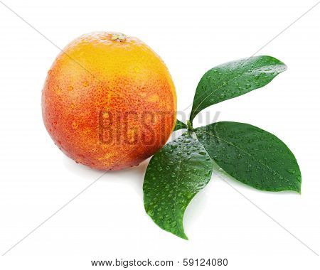 Blood Orange With Green Leaves Isolated On White Background.