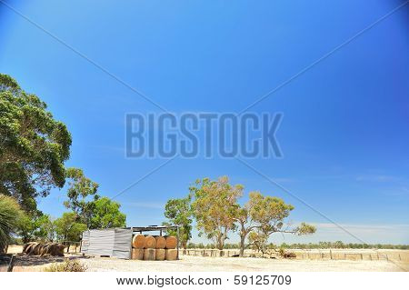 Hay Shed