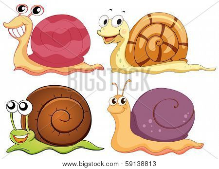 Illustration of the four snails with different shells on a white background